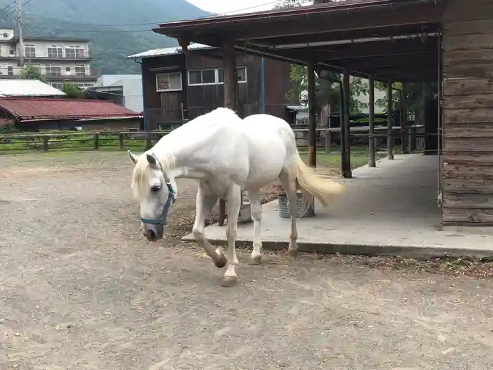 小室浅間神社の動物