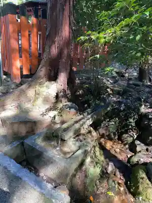 大田神社（賀茂別雷神社境外摂社）(京都府)