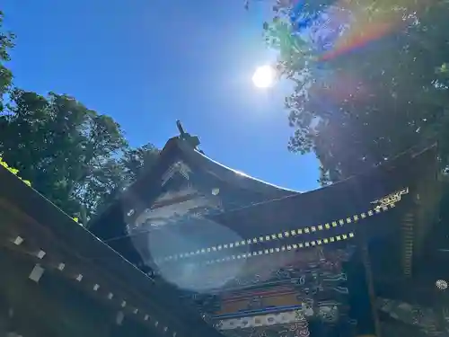三峯神社(埼玉県)
