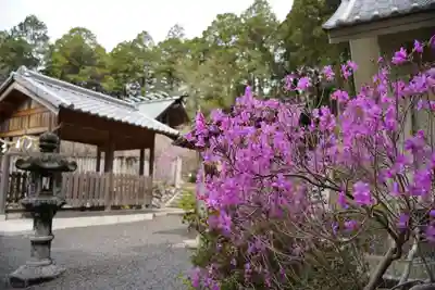 伊奈冨神社(三重県)