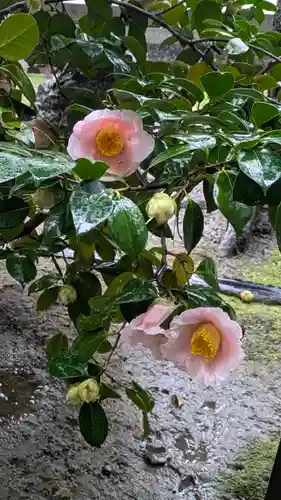 城南宮(京都府)