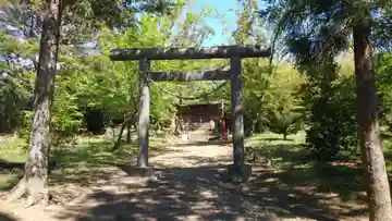 日枝神社の鳥居