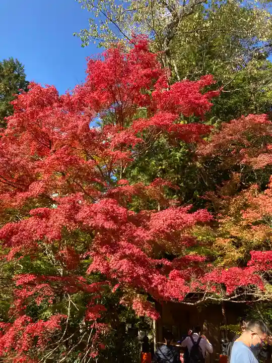 西明寺(京都府)