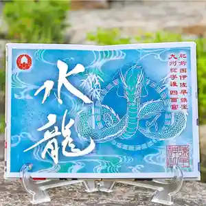 諫早神社(九州総守護 四面宮)の御朱印 2024年06月30日(日)〜(2024年06月30日(日) 14時11分57秒投稿)