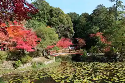 大原野神社(京都府)
