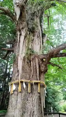 水戸八幡宮(茨城県)