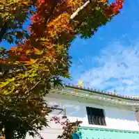 寿量山 速成寺の自然