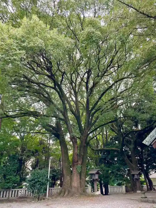 洲崎大神(神奈川県)
