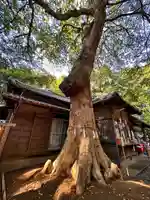 氷川女體神社(埼玉県)