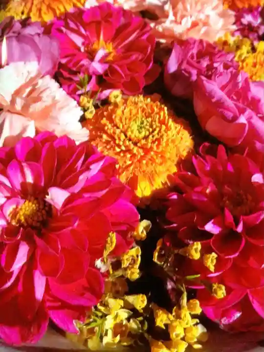 成田山深川不動堂(新勝寺東京別院)(東京都)