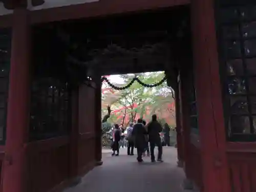 本土寺の山門・神門