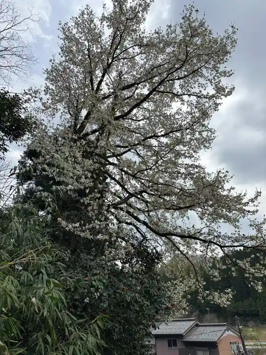 御田神社(富山県)