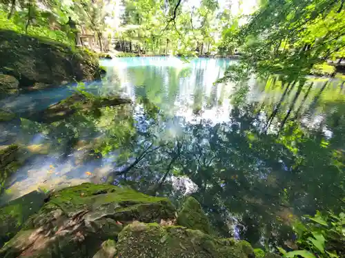 磯山弁財天の庭園