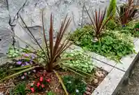 寿量山 速成寺の庭園