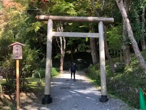 出雲大神宮の鳥居