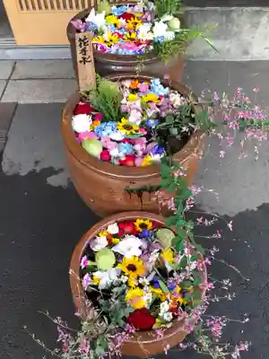 多賀神社の手水舎