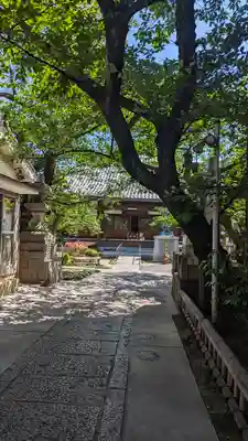 墨染寺（桜寺）(京都府)