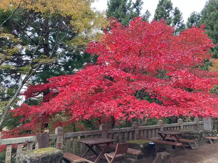 大山阿夫利神社(神奈川県)