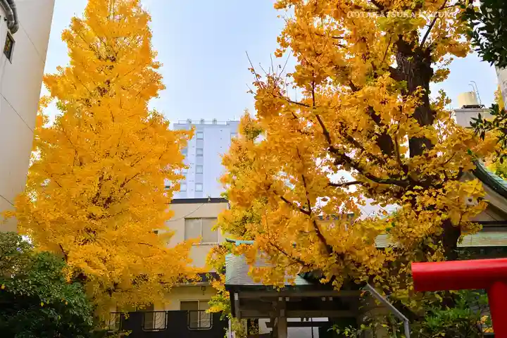 銀杏岡八幡神社(東京都)