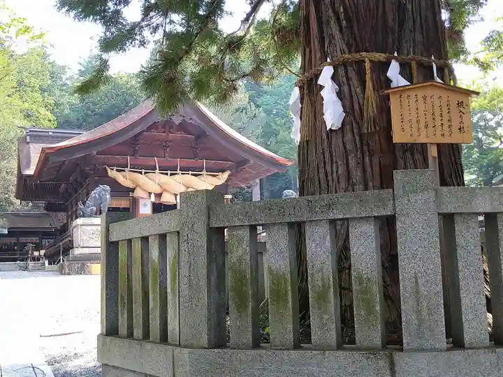 諏訪大社下社秋宮(長野県)