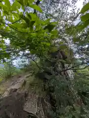 中之嶽神社(群馬県)