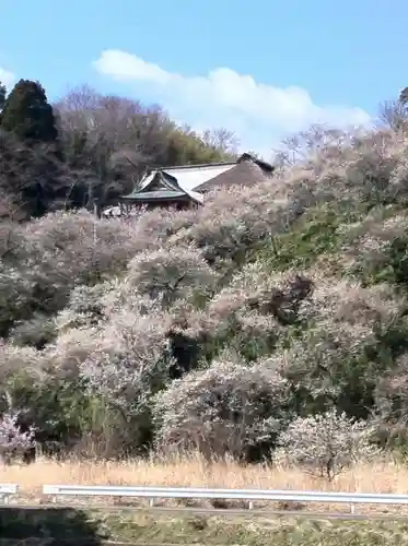 専称寺の景色