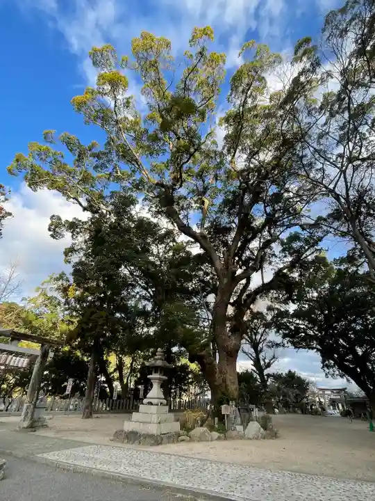 高倉神社の自然