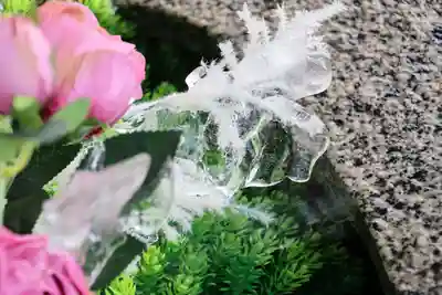 阿邪訶根神社の手水舎