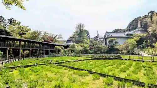 本土寺の庭園