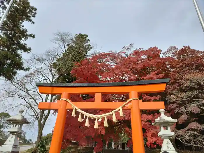 賀茂神社の鳥居