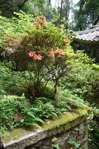 春日神社の自然