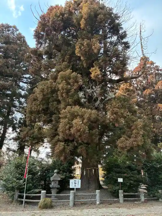 小川温泉神社(栃木県)