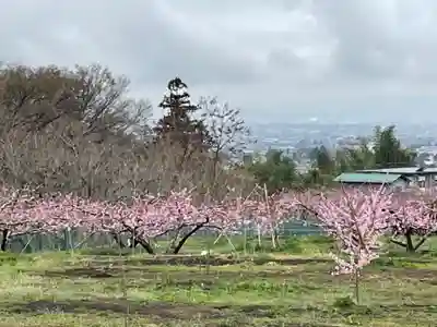 東光山 松泉寺の自然