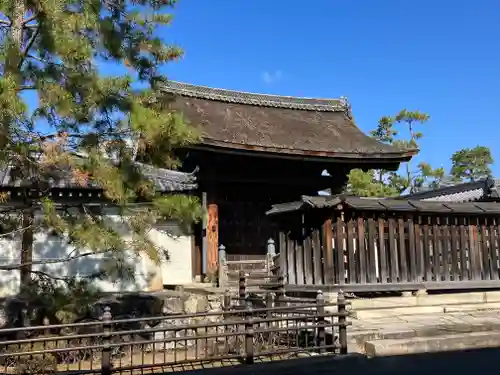 妙心寺（妙心禅寺）(京都府)