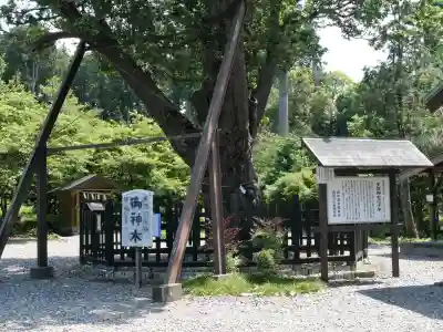 天宮神社(静岡県)