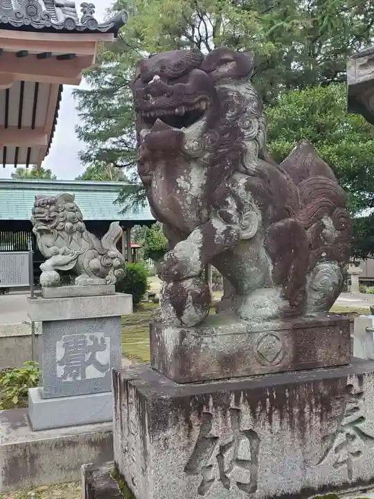 大神神社(花池)の狛犬