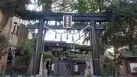 菊名神社の鳥居