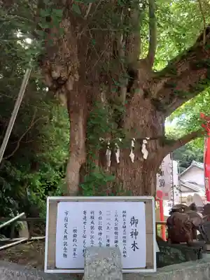 海南神社(神奈川県)