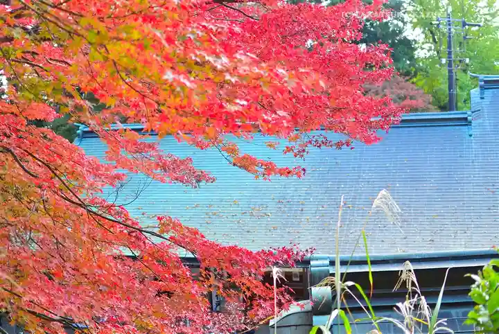 高尾山薬王院(東京都)