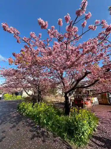 かっぱの寺 栖足寺の自然