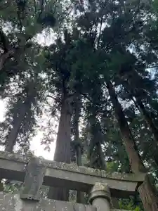 大宮温泉神社(栃木県)(2023年09月17日(日) 14時25分12秒投稿)