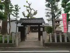 大龍院の山門