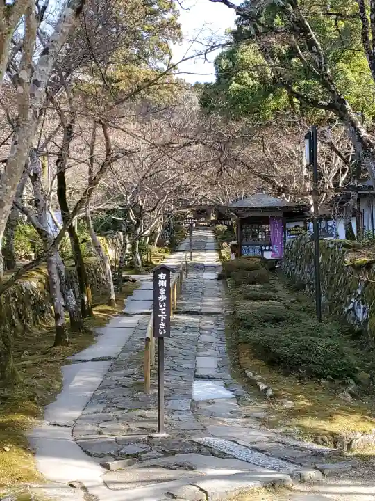 金剛輪寺の{uncategorized: "未分類", other: "その他", undefined: "問題あり", building: "その他建物", grave: "お墓", sacred_gate: "鳥居", guardian: "狛犬", statue: "像", buddha: "仏像", history: "歴史", nature: "自然", garden: "庭園", animal: "動物", pagoda: "塔", temizu: "手水舎", mountain_gate: "山門・神門", sanctuary: "本殿・本堂", subordinate: "末社・摂社", art: "芸術", scenery: "景色", jizo: "地蔵", ema: "絵馬", goshuin: "御朱印", omikuji: "おみくじ", items: "授与品その他", amulet: "お守り", goshuincho: "御朱印帳", eats: "食事", festival: "お祭り", votive_dance: "神楽", shichigosan: "七五三参", wedding: "結婚式", experience: "体験その他", initially: "初詣", around: "周辺", anti_infection: "感染症対策"}