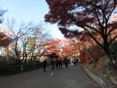 清水寺(京都府)