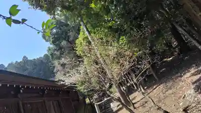 近江神宮(滋賀県)