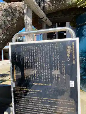 題経寺(柴又帝釈天)(東京都)