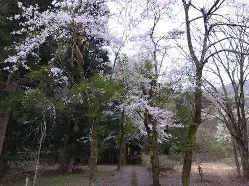 白龍神社(福井県)