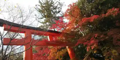 賀茂御祖神社（下鴨神社）の鳥居