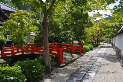 金剛寺(大阪府)