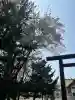 篠路神社の{uncategorized: "未分類", other: "その他", undefined: "問題あり", building: "その他建物", grave: "お墓", sacred_gate: "鳥居", guardian: "狛犬", statue: "像", buddha: "仏像", history: "歴史", nature: "自然", garden: "庭園", animal: "動物", pagoda: "塔", temizu: "手水舎", mountain_gate: "山門・神門", sanctuary: "本殿・本堂", subordinate: "末社・摂社", art: "芸術", scenery: "景色", jizo: "地蔵", ema: "絵馬", goshuin: "御朱印", omikuji: "おみくじ", items: "授与品その他", amulet: "お守り", goshuincho: "御朱印帳", eats: "食事", festival: "お祭り", votive_dance: "神楽", shichigosan: "七五三参", wedding: "結婚式", experience: "体験その他", initially: "初詣", around: "周辺", anti_infection: "感染症対策"}
